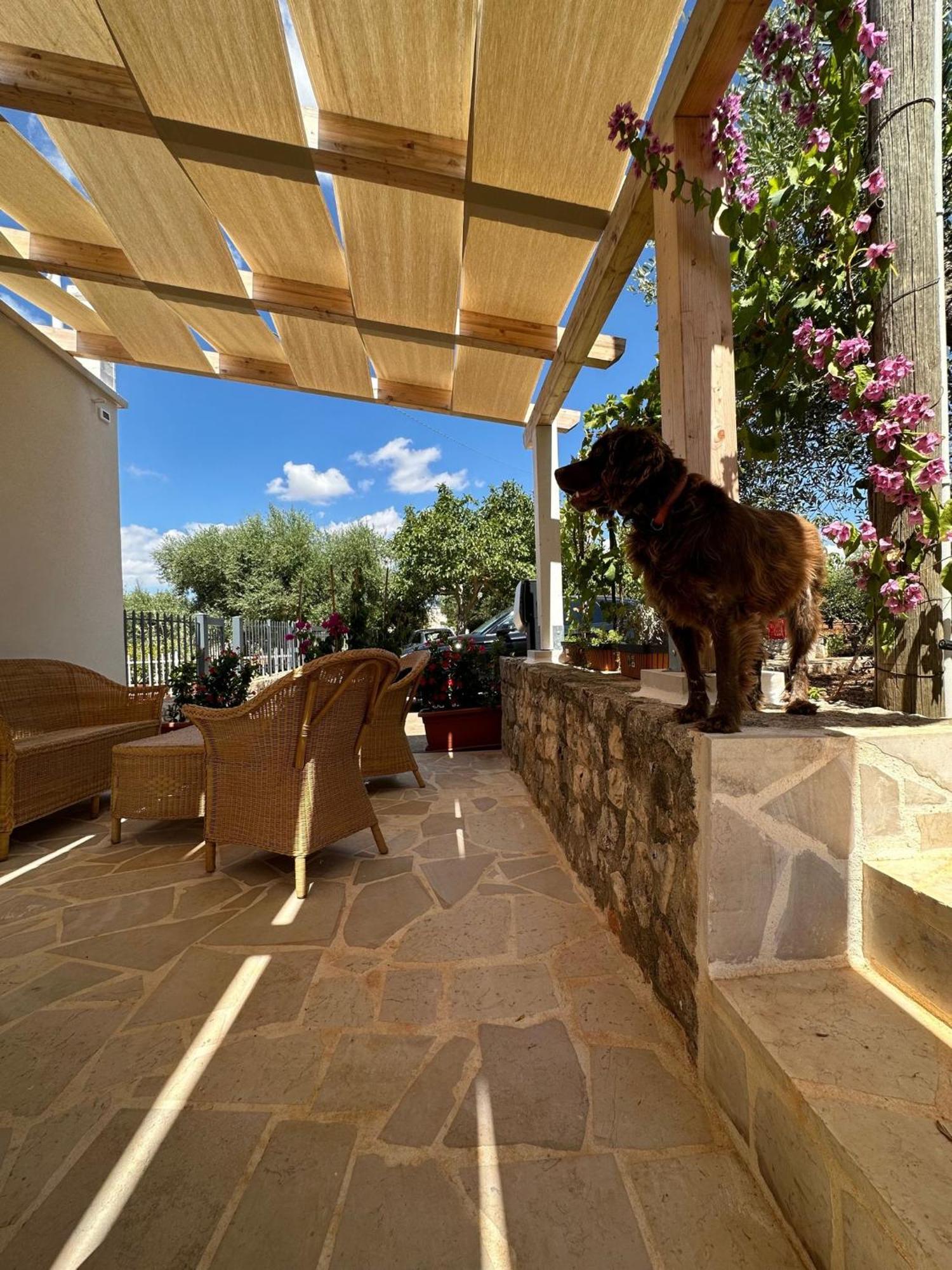 Apartment Trullo Gnoffa La Correggia