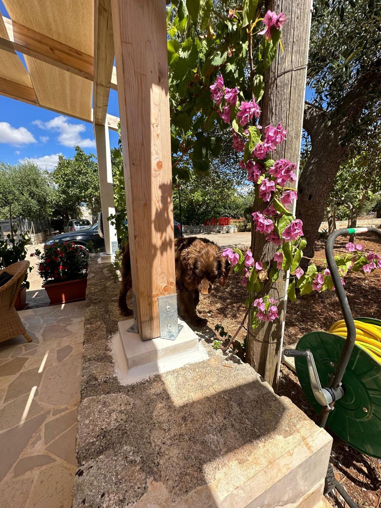 Trullo Gnoffa La Correggia